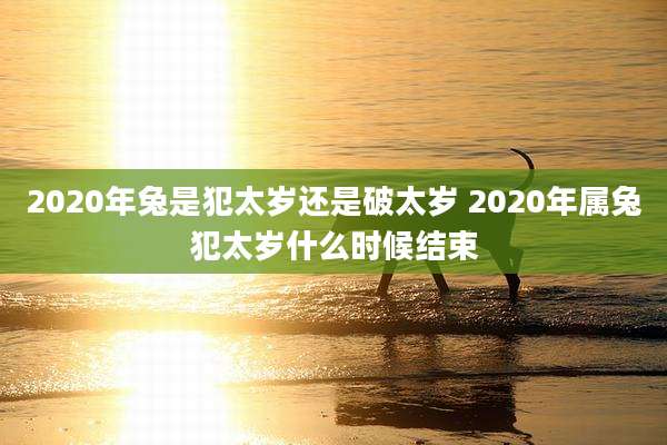 2020年兔是犯太岁还是破太岁 2020年属兔犯太岁什么时候结束