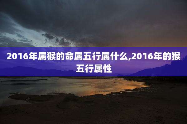 2016年属猴的命属五行属什么,2016年的猴五行属性