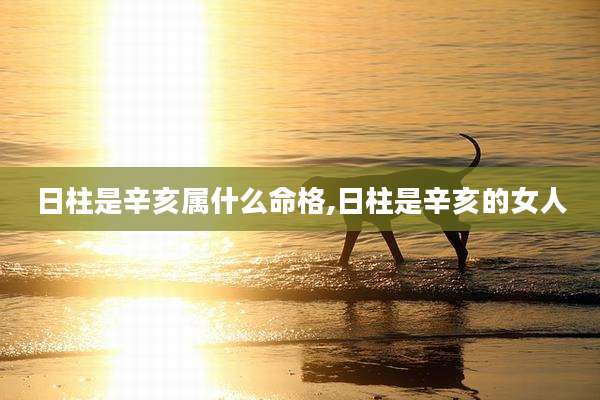 日柱是辛亥属什么命格,日柱是辛亥的女人