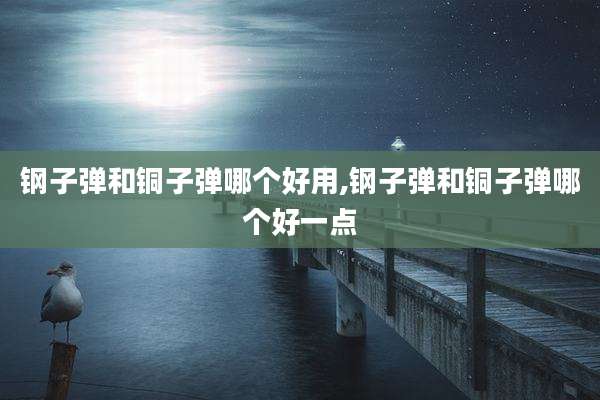 钢子弹和铜子弹哪个好用,钢子弹和铜子弹哪个好一点