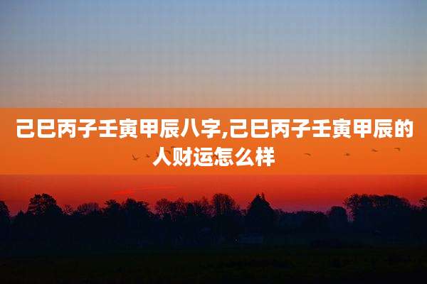 己巳丙子壬寅甲辰八字,己巳丙子壬寅甲辰的人财运怎么样