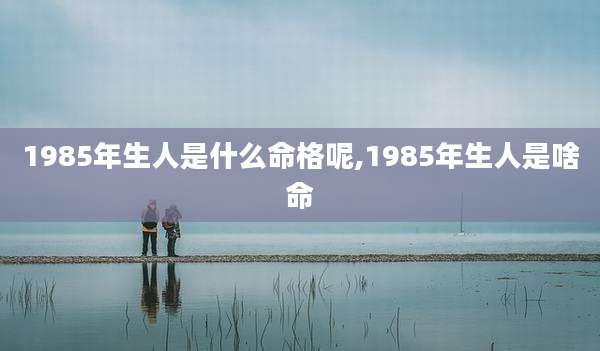 1985年生人是什么命格呢,1985年生人是啥命