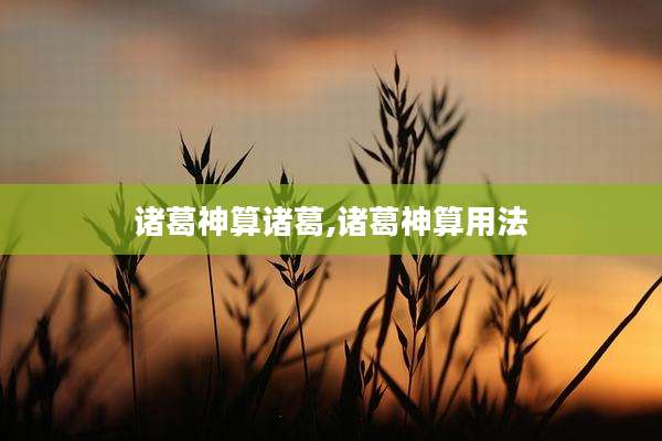 诸葛神算诸葛,诸葛神算用法