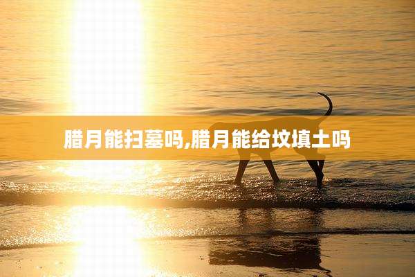 腊月能扫墓吗,腊月能给坟填土吗