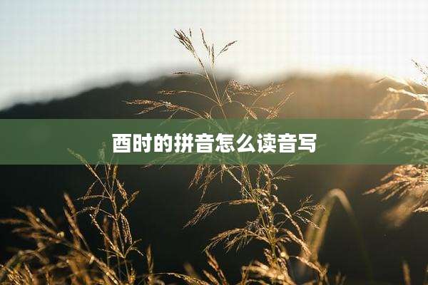 酉时的拼音怎么读音写
