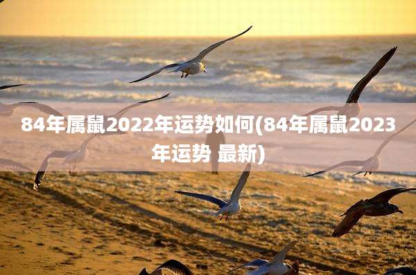84年属鼠2022年运势如何(84年属鼠2023年运势 最新)