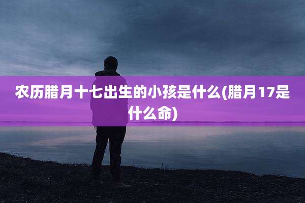农历腊月十七出生的小孩是什么(腊月17是什么命)