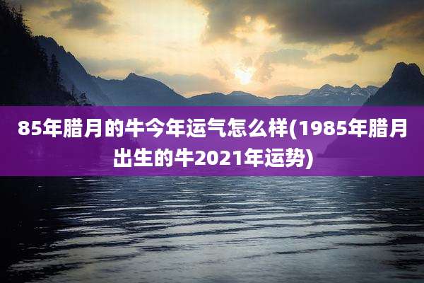 85年腊月的牛今年运气怎么样(1985年腊月出生的牛2021年运势)
