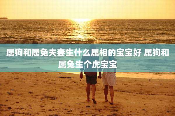 属狗和属兔夫妻生什么属相的宝宝好 属狗和属兔生个虎宝宝