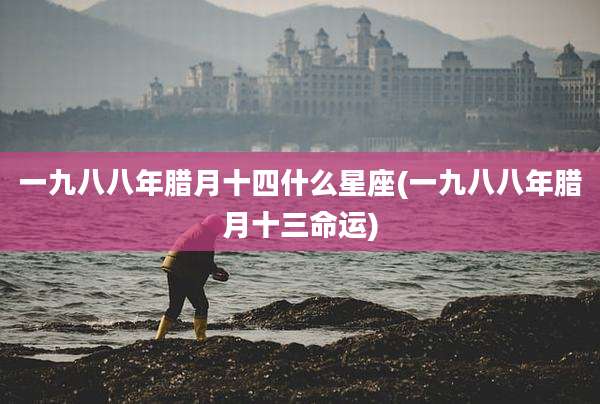 一九八八年腊月十四什么星座(一九八八年腊月十三命运)