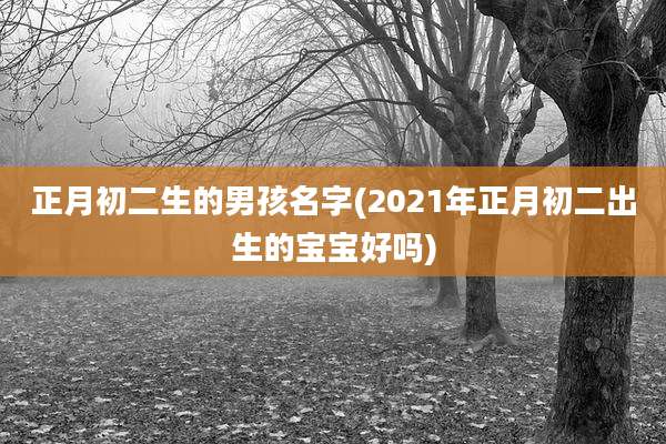 正月初二生的男孩名字(2021年正月初二出生的宝宝好吗)