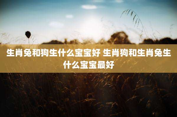 生肖兔和狗生什么宝宝好 生肖狗和生肖兔生什么宝宝最好