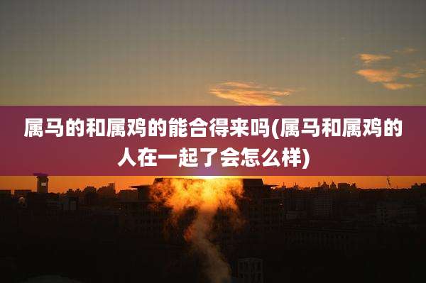 属马的和属鸡的能合得来吗(属马和属鸡的人在一起了会怎么样)