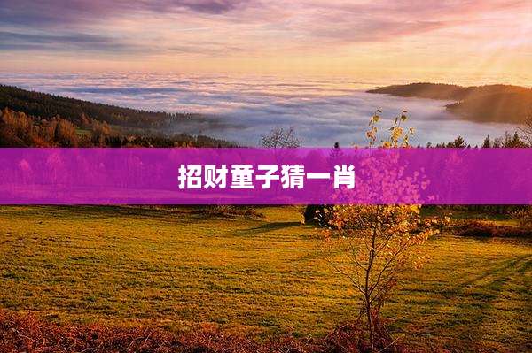 招财童子猜一肖