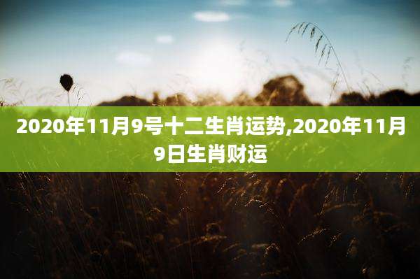 2020年11月9号十二生肖运势,2020年11月9日生肖财运