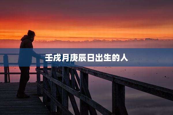 壬戌月庚辰日出生的人