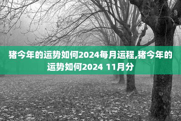 猪今年的运势如何2024每月运程,猪今年的运势如何2024 11月分