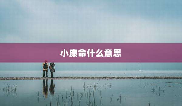 小康命什么意思