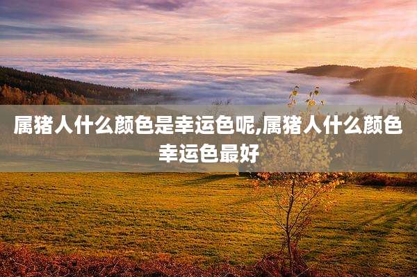 属猪人什么颜色是幸运色呢,属猪人什么颜色幸运色最好