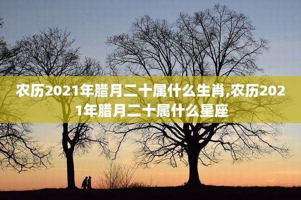 农历2021年腊月二十属什么生肖,农历2021年腊月二十属什么星座