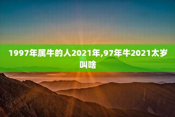 1997年属牛的人2021年,97年牛2021太岁叫啥