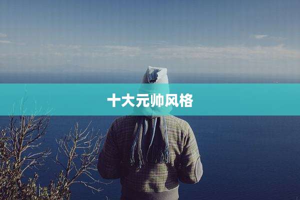 十大元帅风格