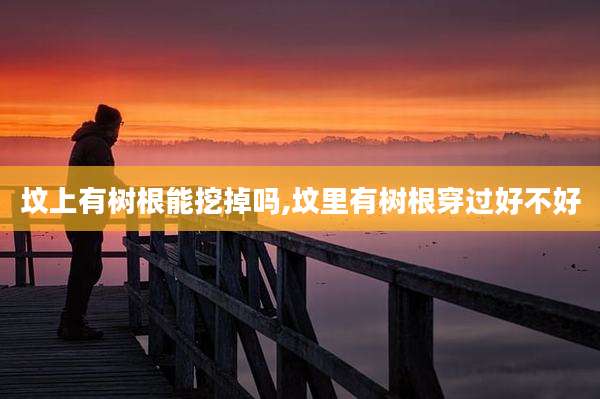 坟上有树根能挖掉吗,坟里有树根穿过好不好