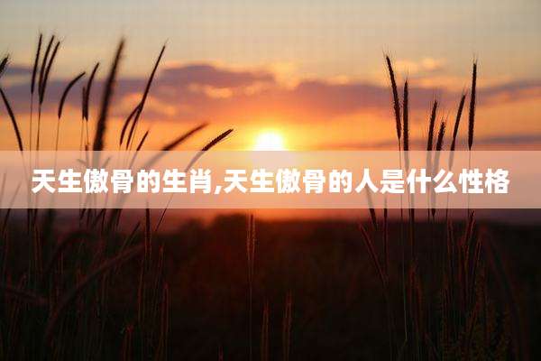 天生傲骨的生肖,天生傲骨的人是什么性格