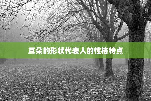 耳朵的形状代表人的性格特点