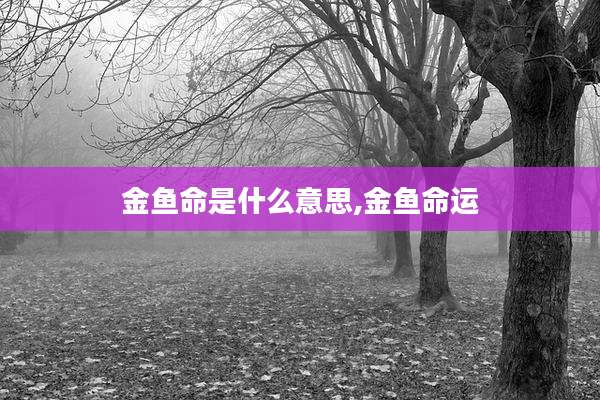 金鱼命是什么意思,金鱼命运