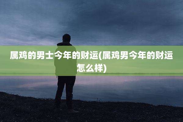 属鸡的男士今年的财运(属鸡男今年的财运怎么样)