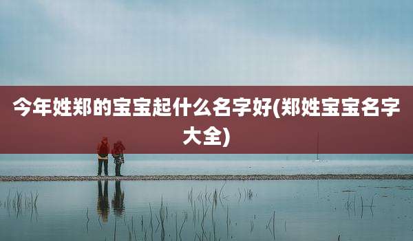 今年姓郑的宝宝起什么名字好(郑姓宝宝名字大全)