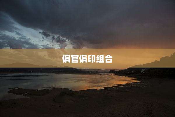 偏官偏印组合