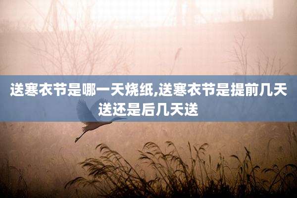 送寒衣节是哪一天烧纸,送寒衣节是提前几天送还是后几天送