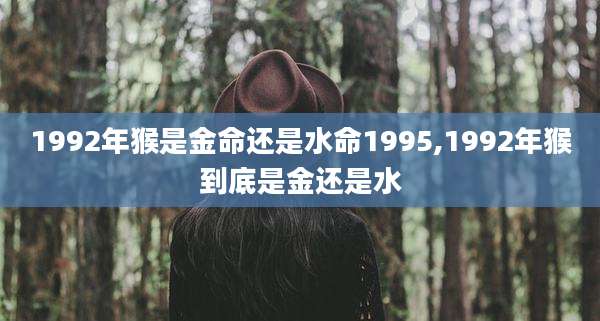 1992年猴是金命还是水命1995,1992年猴到底是金还是水