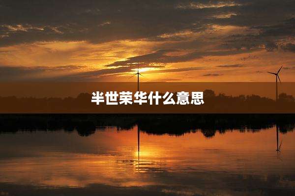 半世荣华什么意思