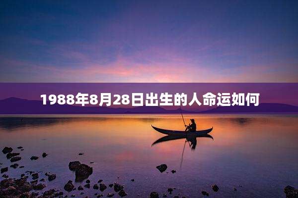 1988年8月28日出生的人命运如何
