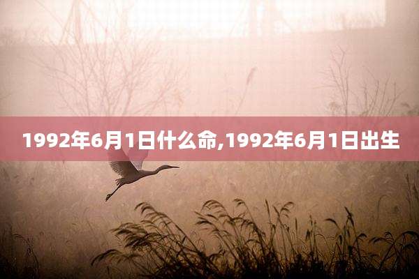 1992年6月1日什么命,1992年6月1日出生