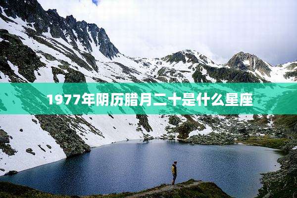 1977年阴历腊月二十是什么星座