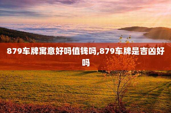 879车牌寓意好吗值钱吗,879车牌是吉凶好吗