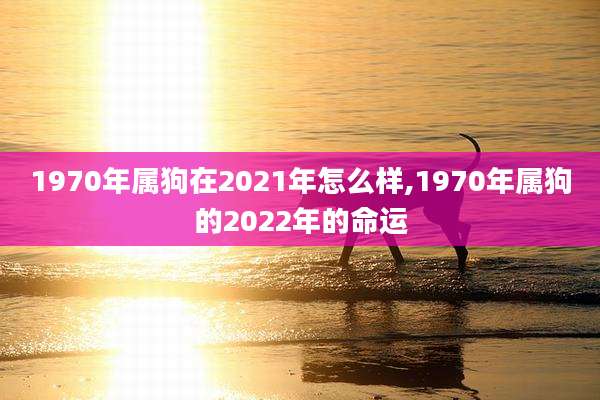 1970年属狗在2021年怎么样,1970年属狗的2022年的命运