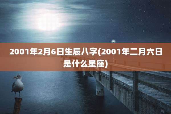 2001年2月6日生辰八字(2001年二月六日是什么星座)
