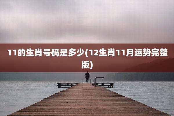 11的生肖号码是多少(12生肖11月运势完整版)