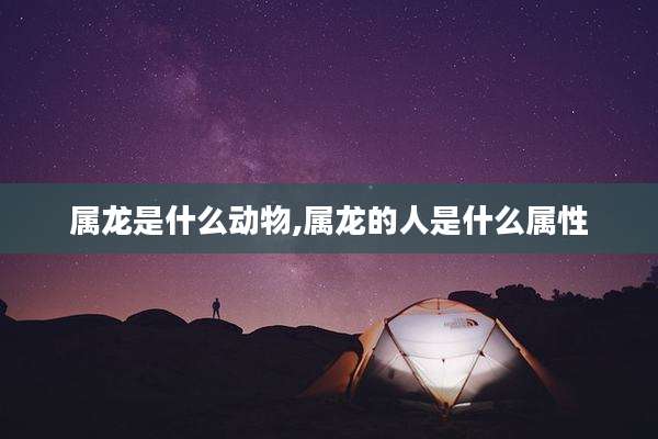 属龙是什么动物,属龙的人是什么属性