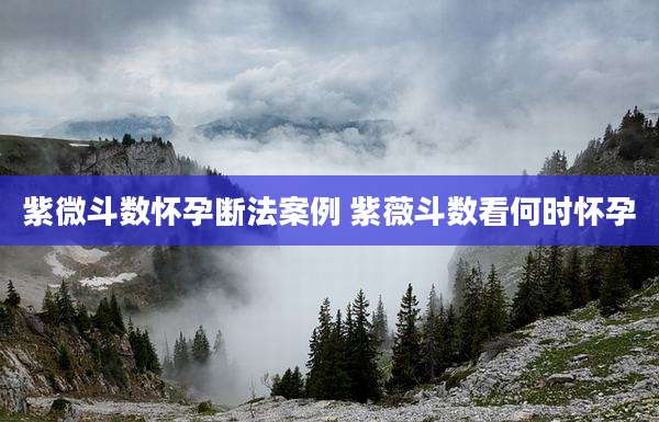 紫微斗数怀孕断法案例 紫薇斗数看何时怀孕