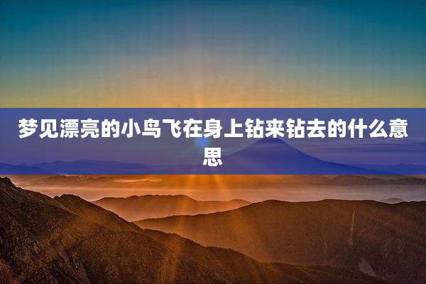 梦见漂亮的小鸟飞在身上钻来钻去的什么意思