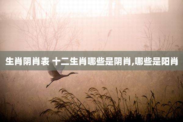 生肖阴肖表 十二生肖哪些是阴肖,哪些是阳肖
