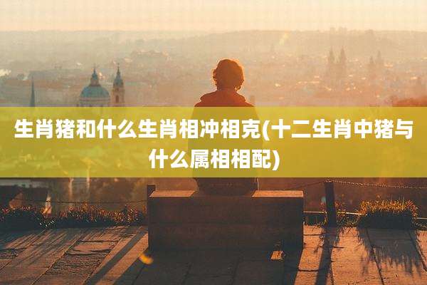 生肖猪和什么生肖相冲相克(十二生肖中猪与什么属相相配)