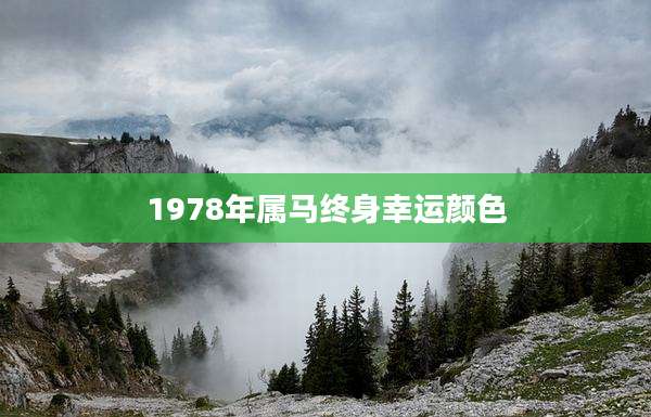 1978年属马终身幸运颜色
