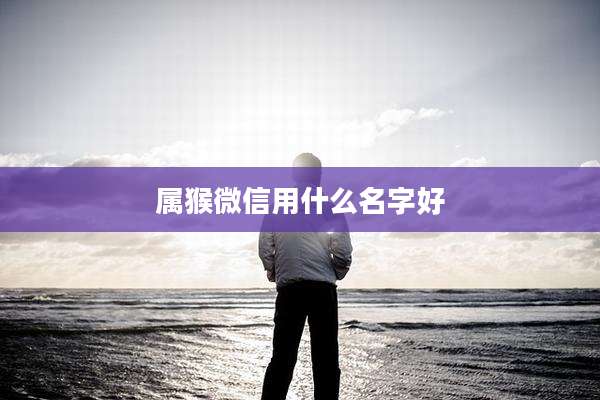 属猴微信用什么名字好